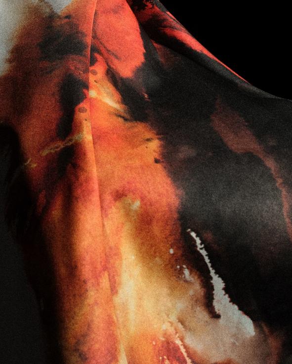 仿佛给黄蜂 仿佛给黄蜂