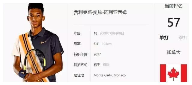 带有分节小 带有分节小